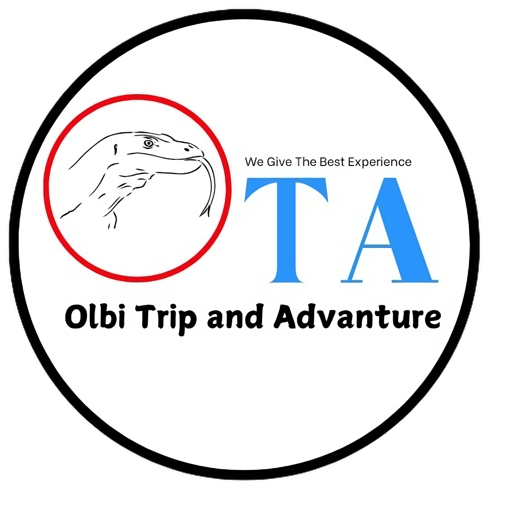olbitour.com